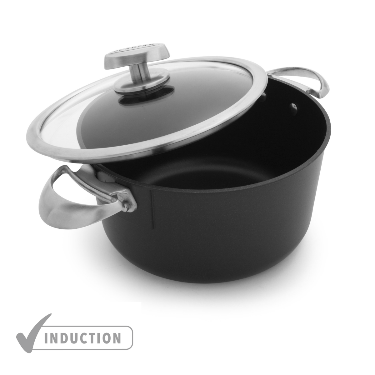SCANPAN UK SCANPAN Pro IQ 20cm Dutch Oven With Lid